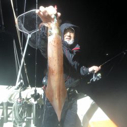 オーシャンズ　京都 釣果