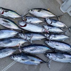 へいみつ丸 釣果