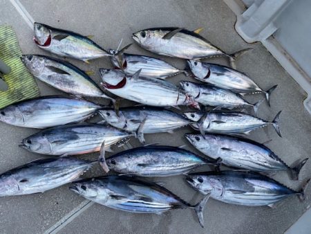 へいみつ丸 釣果