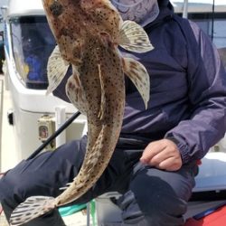 遊漁船　ニライカナイ 釣果