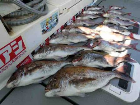 遊漁船 セトマリン 釣果