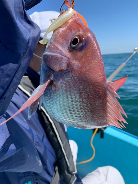 宝昌丸 釣果