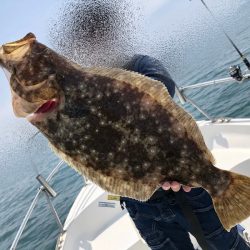 Magic（マジック） 釣果