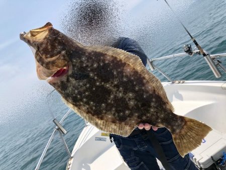 Magic（マジック） 釣果