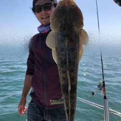 Magic（マジック） 釣果