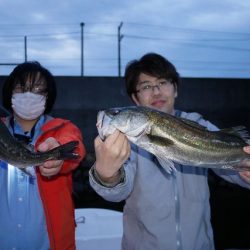 TOPGUN名古屋 釣果