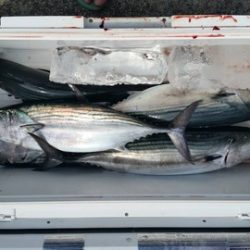 第五慶門丸 釣果