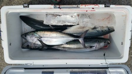 第五慶門丸 釣果