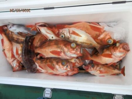 第二むつ漁丸 釣果