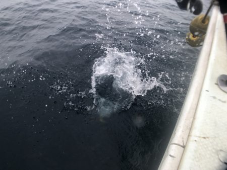 オーシャンズ 京都 釣果