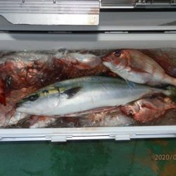 第二むつ漁丸 釣果