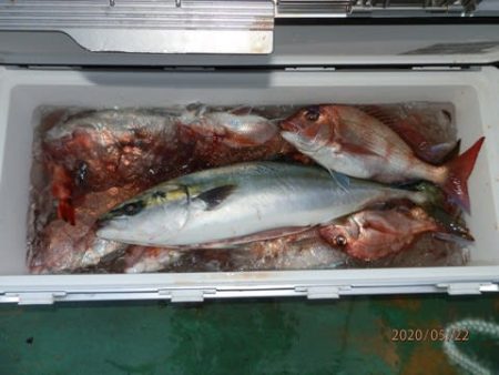 第二むつ漁丸 釣果