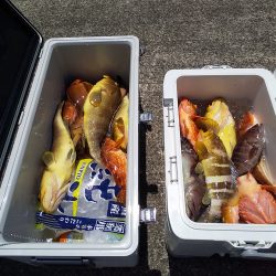 オーシャンズ 京都 釣果