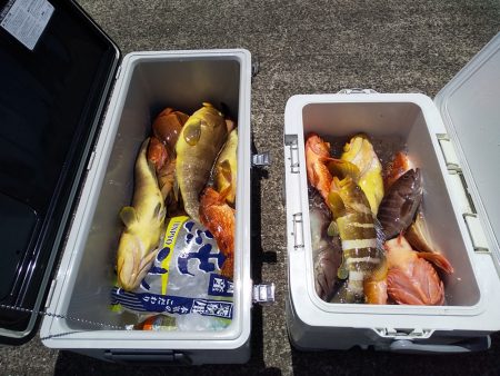 オーシャンズ 京都 釣果