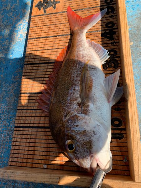 幸吉丸 釣果