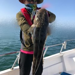 Magic（マジック） 釣果