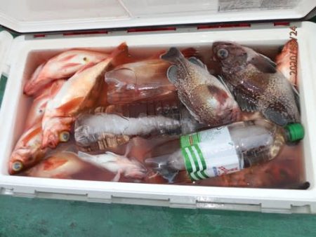 第二むつ漁丸 釣果
