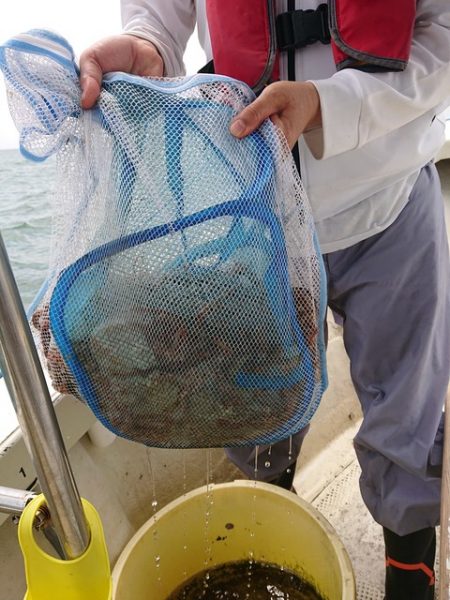 たかみ丸 釣果