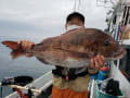 里輝丸 釣果