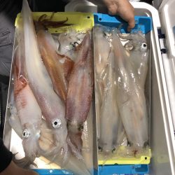 オーシャンズ　京都 釣果