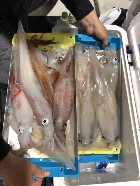 オーシャンズ　京都 釣果