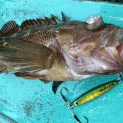 広進丸 釣果