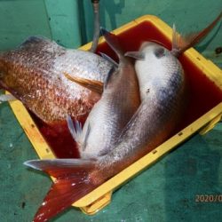 第二むつ漁丸 釣果