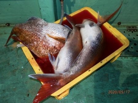 第二むつ漁丸 釣果