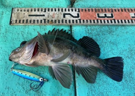 広進丸 釣果