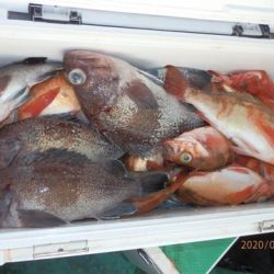 第二むつ漁丸 釣果