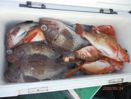 第二むつ漁丸 釣果