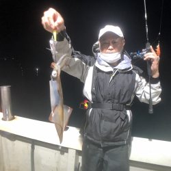 オーシャンズ　京都 釣果