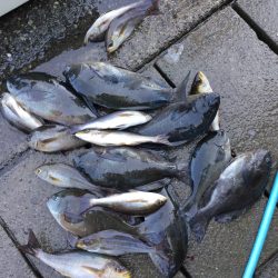 伊豆下田フィッシング 釣果