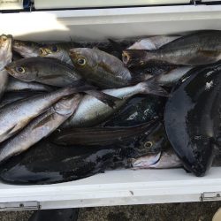 伊豆下田フィッシング 釣果