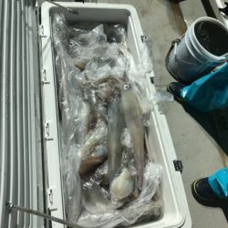 第八大安丸 釣果