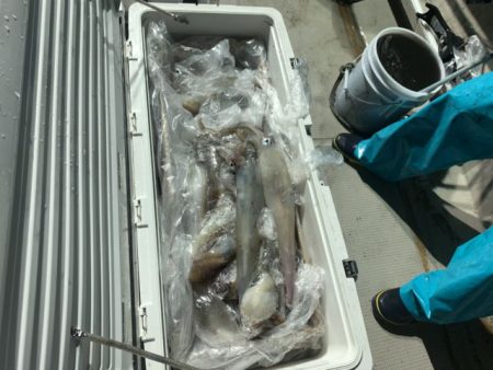 第八大安丸 釣果