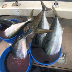 オーシャンズ 京都 釣果