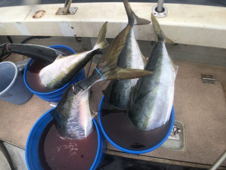 オーシャンズ 京都 釣果