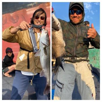 シーマジカル 釣果