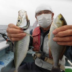 まとばや 釣果