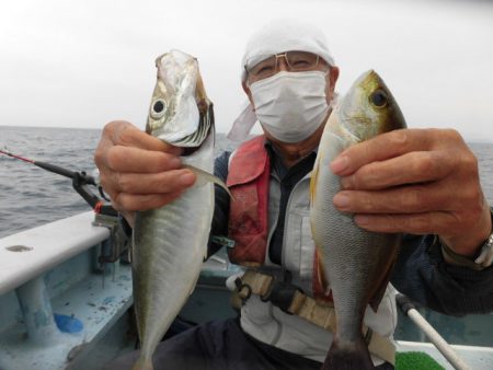 まとばや 釣果