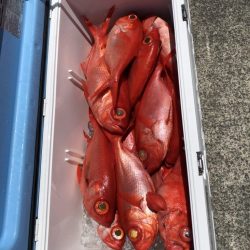 番匠高宮丸 釣果