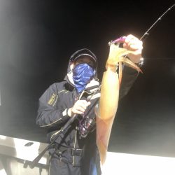 オーシャンズ　京都 釣果