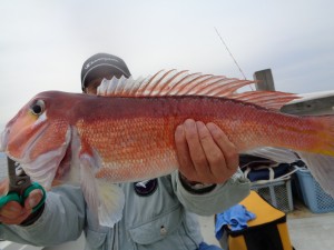 兼六丸 釣果