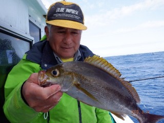増福丸 釣果