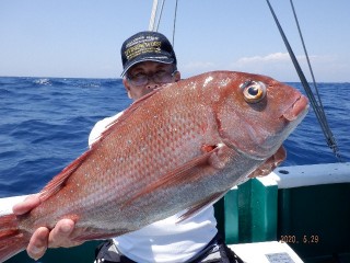 増福丸 釣果