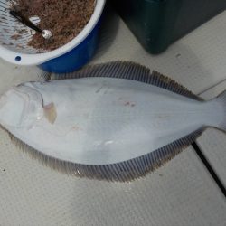 HARUKA丸 はるかまる 釣果