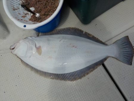 HARUKA丸 はるかまる 釣果