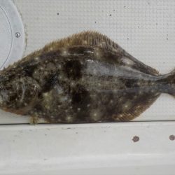 HARUKA丸 はるかまる 釣果