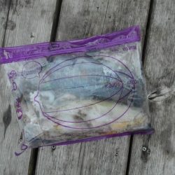 こかわ渡船　雅丸 釣果